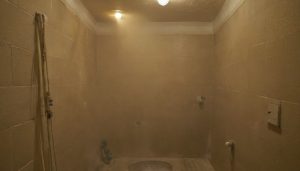 Renovating Bathrooms in an Occupied Home: Phasing, Dust Control, and Temporary Facilities